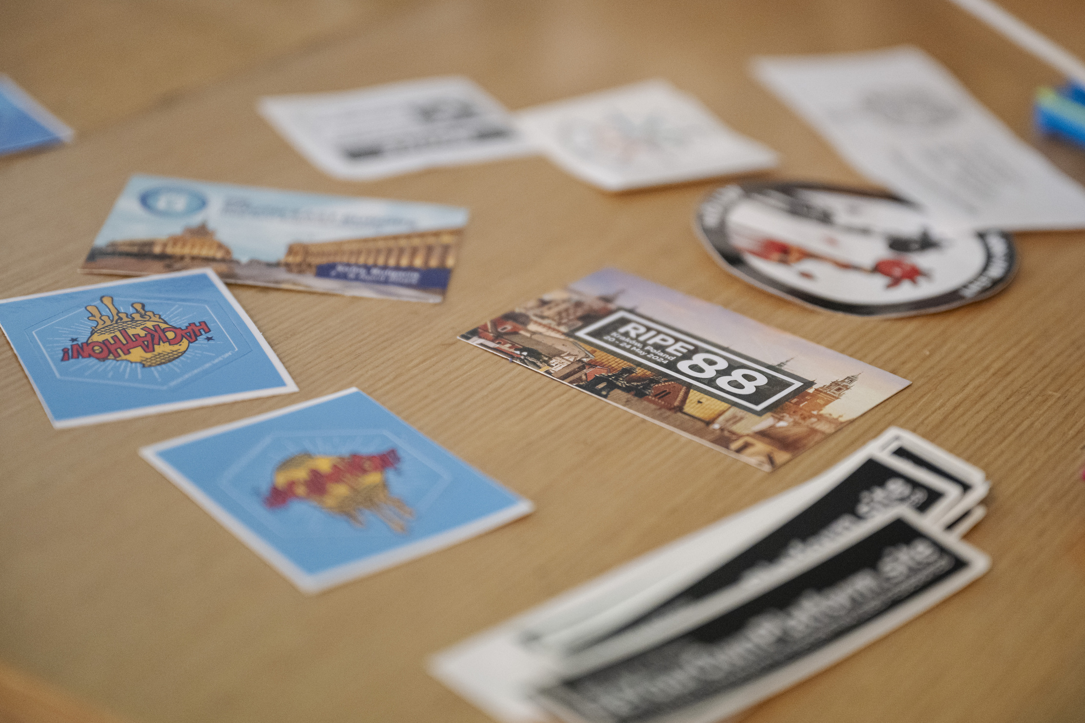 AMRO24 Exhibitions "Internet of Squirrels", by Vesna Manojlovic