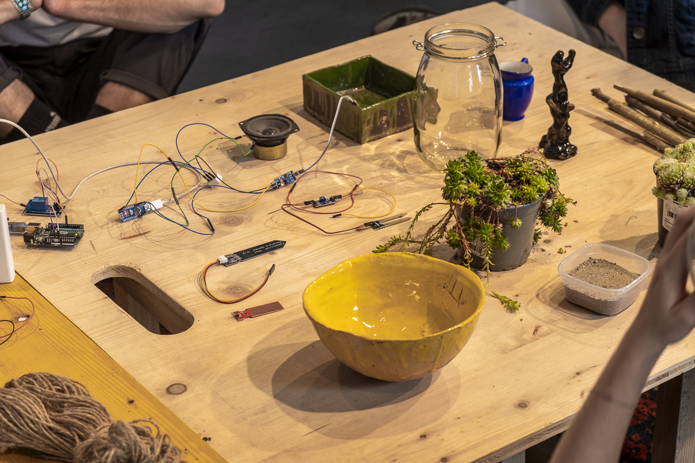 AMRO24 Exhibitions "Senzor Saikei", by Michal Klodner & Aliaksandra Yakubouskaya