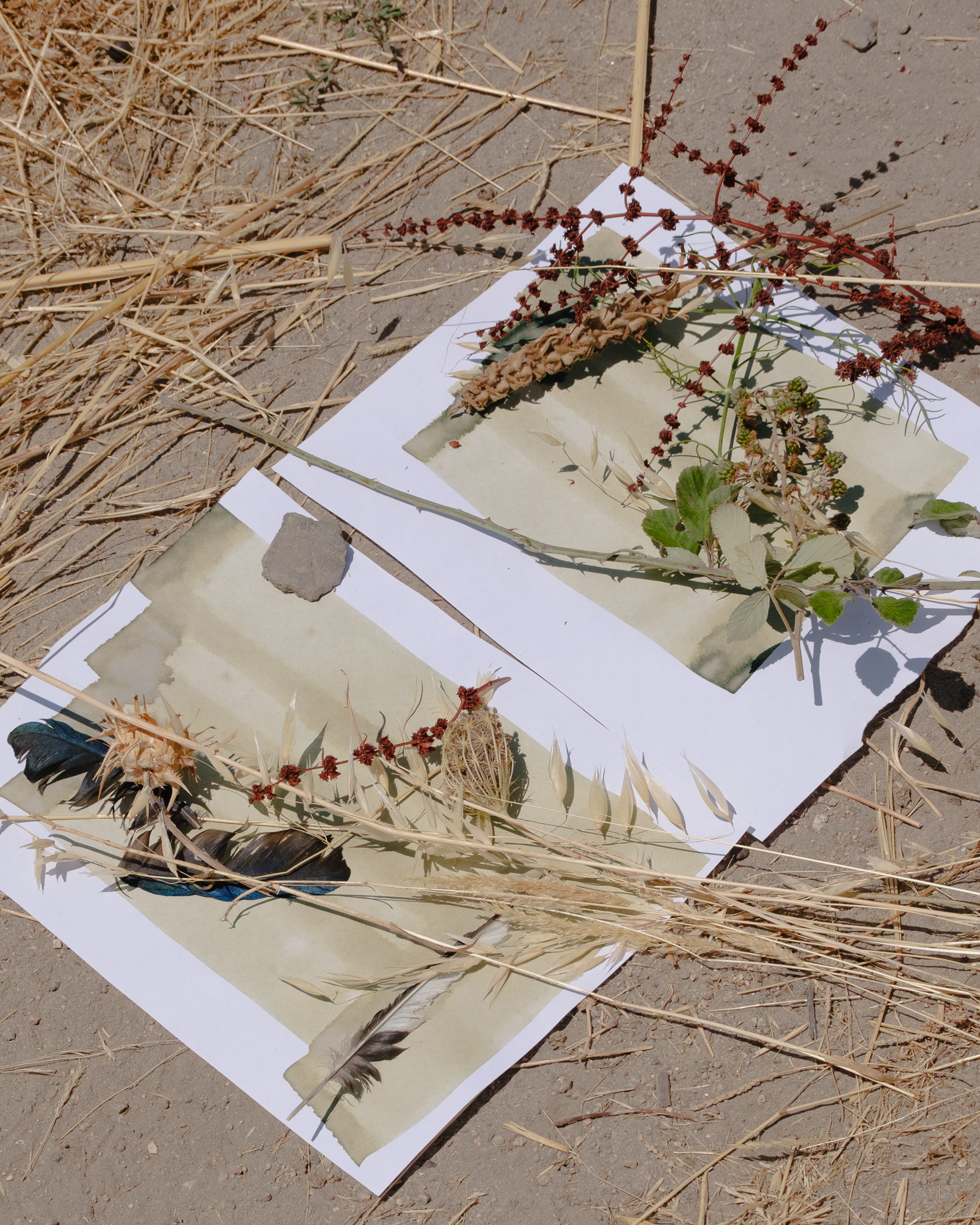 papertrail workshop image